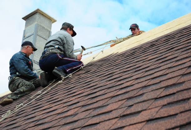 Best Residential Roofing Contractor  in Lamesa, TX